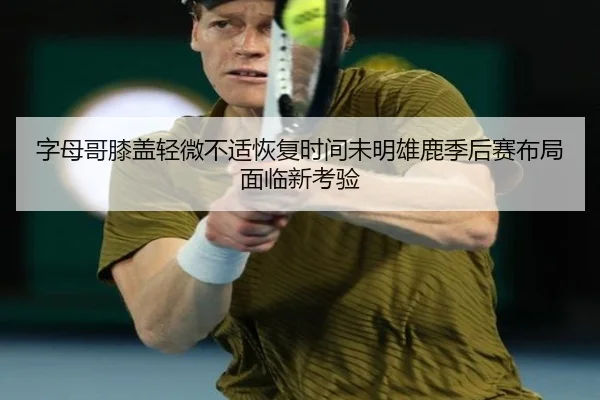 字母哥膝盖轻微不适恢复时间未明雄鹿季后赛布局面临新考验