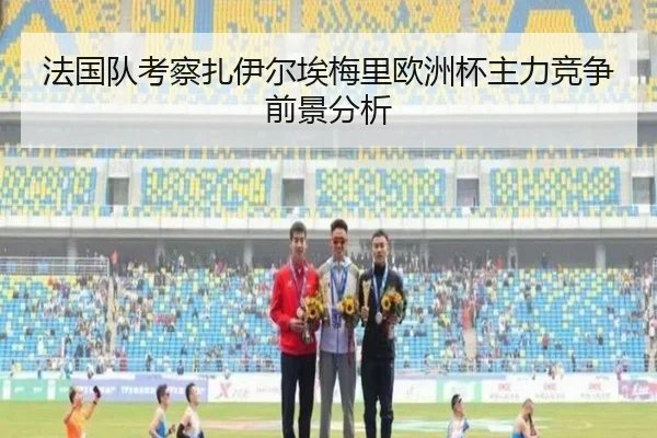 法国队考察扎伊尔埃梅里欧洲杯主力竞争前景分析