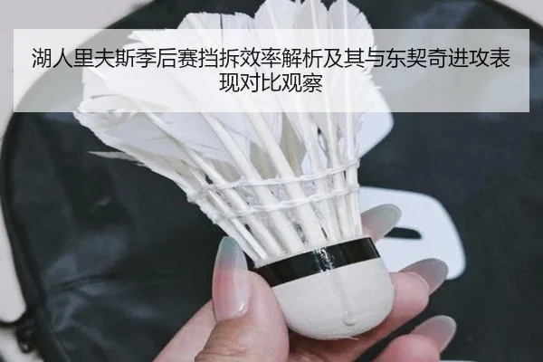 湖人里夫斯季后赛挡拆效率解析及其与东契奇进攻表现对比观察